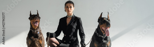 Photography elegant woman in black blazer dress near doberman dogs on grey background, banne