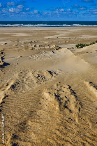 Vertical view of the beach with the sea in the background