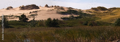Panorama of Sand dunes
