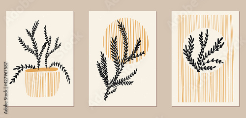 A set of three abstract minimalist aesthetic floral illustrations. Dark silhouettes of plants on a light background. Modern vector posters for social media, web design in vintage scandinavian style.