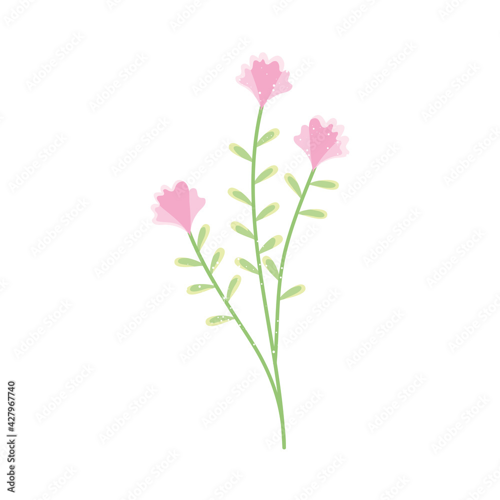 pink flowers branch