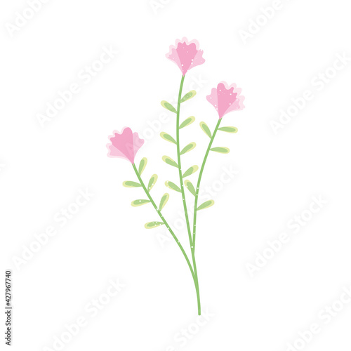 pink flowers branch
