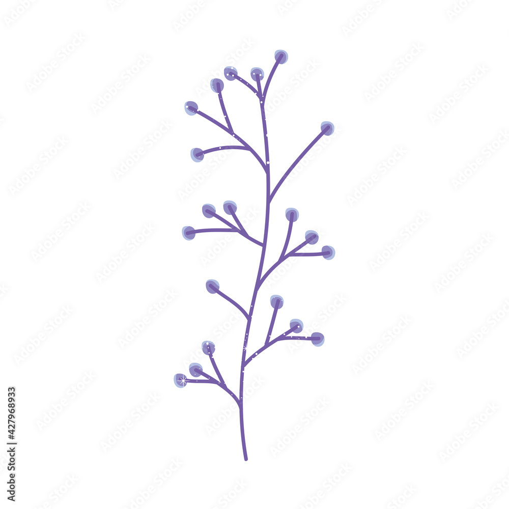 purple berries branch