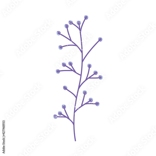 purple berries branch