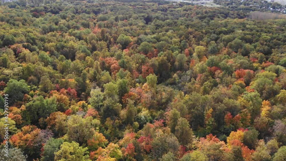Aerial view of autumn forest. Yellow, green and red trees Aerial view of autumn forest. Yellow, green and red trees