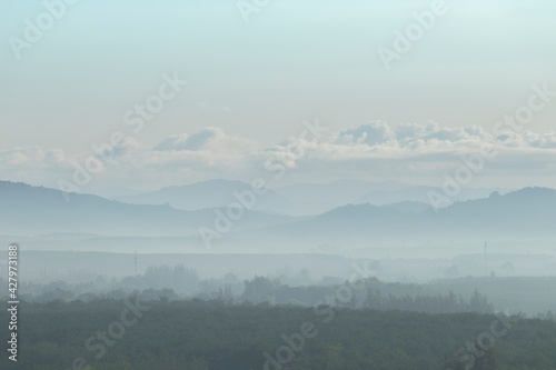 The trees are foggy in the morning with a mountain background and white clouds. Is a view from a height