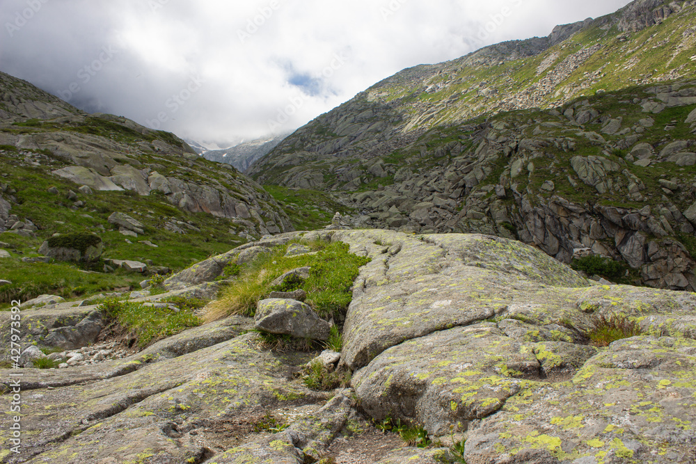 Obraz premium High altitude alpine landscape with rocks covered with moss and grass. Path leading to the Gelato Lake which divides Val Nambrone from the Presanella glaciers, Trentino, Italy.