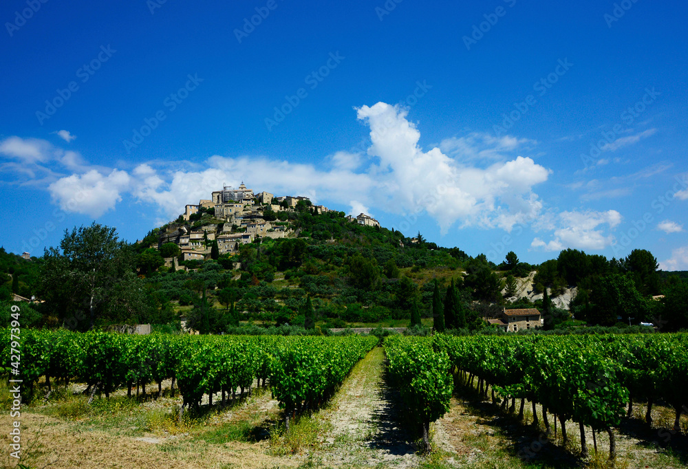 Fototapeta premium Prowansja, krajobraz, winnica i niebieskie niebo, vineyard, blue sky, Gordes