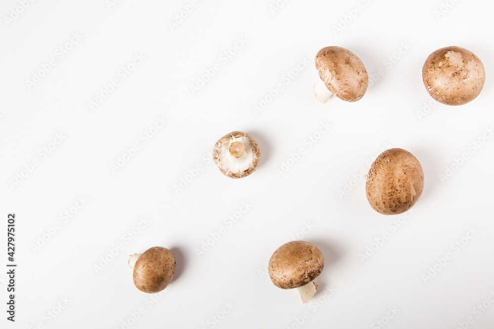 champignons mushrooms isolated on the white background. top view champignons mushrooms isolated on the white background. top view