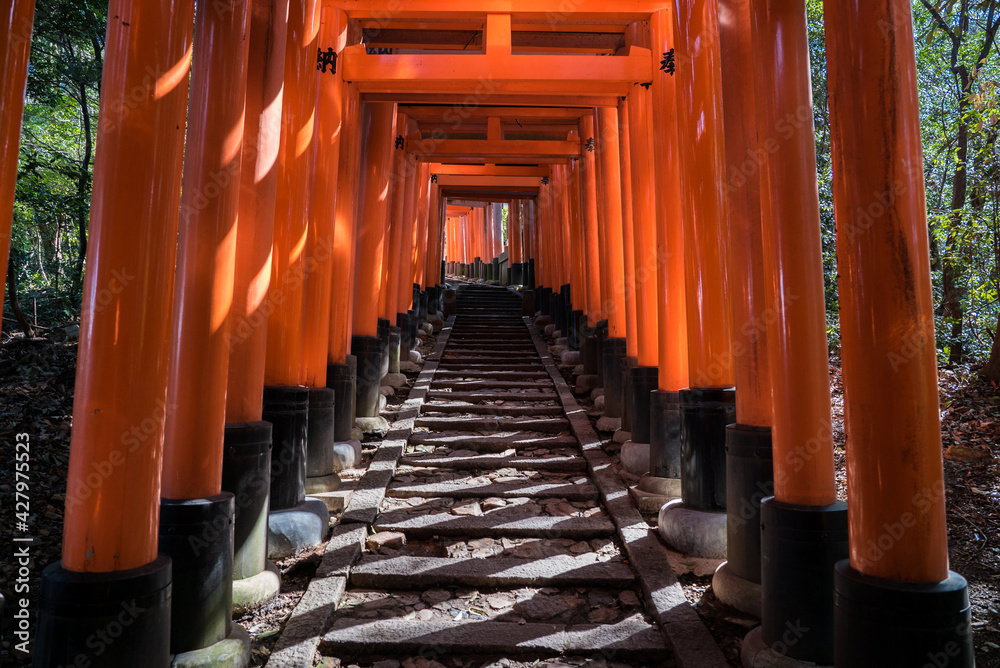 Fushimi Inari Taisha, walking through thousands of red torii gates in religious Japanese Shinto shrine, Fushimi-ku, Kyoto, Japan Fushimi Inari Taisha, walking through thousands of red torii gates in religious Japanese Shinto shrine, Fushimi-ku, Kyoto, Japan