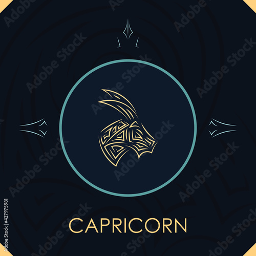 Capricorn horoscope sign in twelve zodiac with abstract stars background, line art graphic