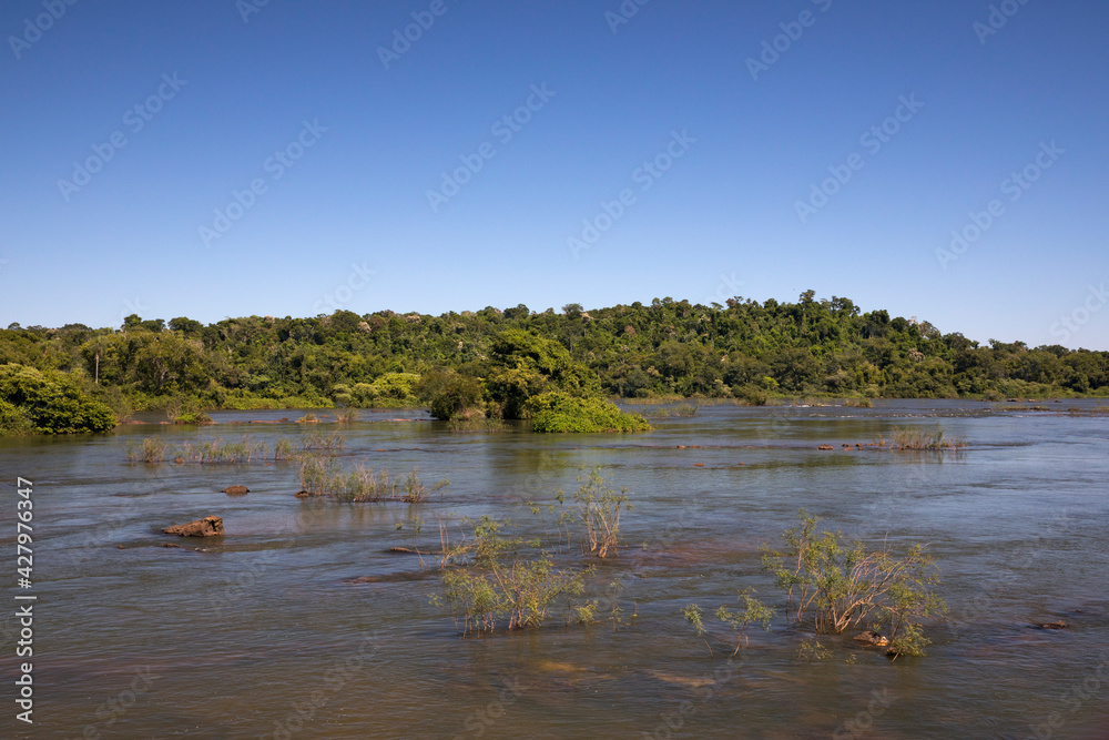 The Iguazu river flowing across the jungle in the frontier between Argentina and Brazil. The fresh water, shallows and green forest under a blue sky. 