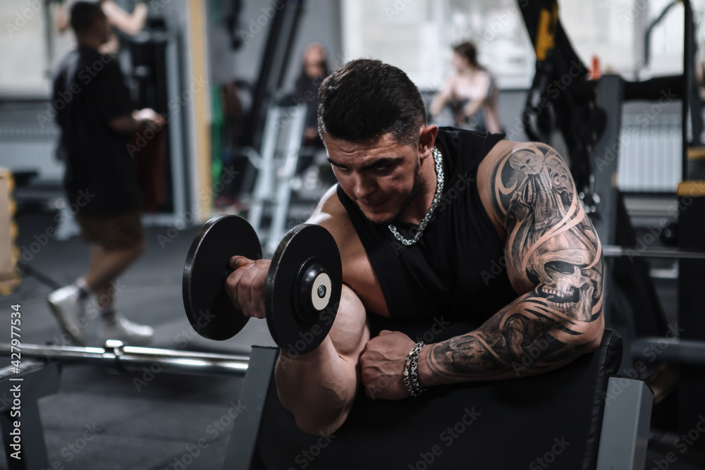 Strong male athlete doing bicep curls with dumbbell at the gym Strong male athlete doing bicep curls with dumbbell at the gym