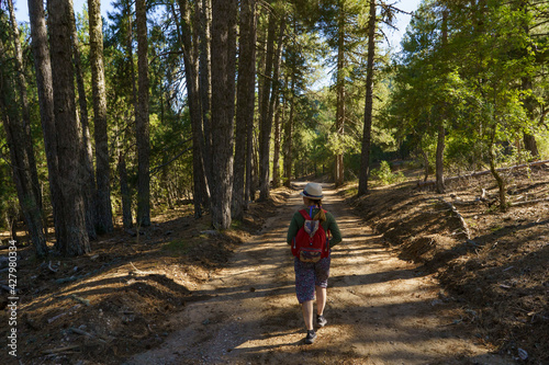 Young woman with hat walking along a forest path at sunset 