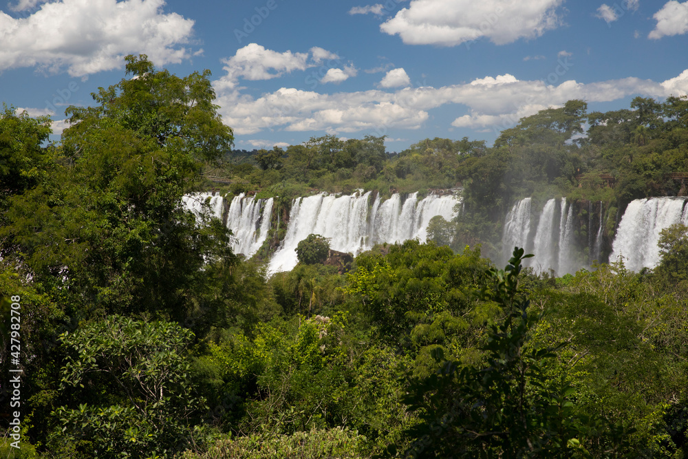 The Iguazu falls in the jungle. View of the white falling water flowing across the tropical rainforest in Iguazu national Park, Misiones, Argentina. The waterfalls and lush vegetation.