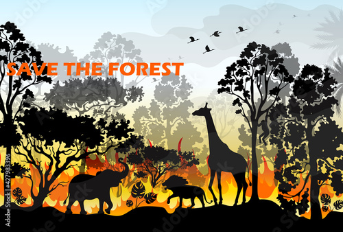 Burning forest spruces in fire flames. Wild fire in the night forest. Natural disaster. Wildfire. Black silhouette trees on fire realistic vector illustration.