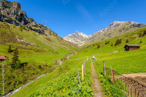 View of beautiful landscape in the Alps with fresh green meadows and snow-capped mountain tops in the background on a sunny day with blue sky and clouds in springtime.