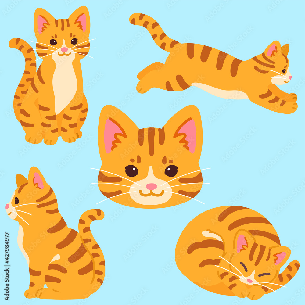 Set of simple and adorable Orange Tabby cat illustrations flat colored