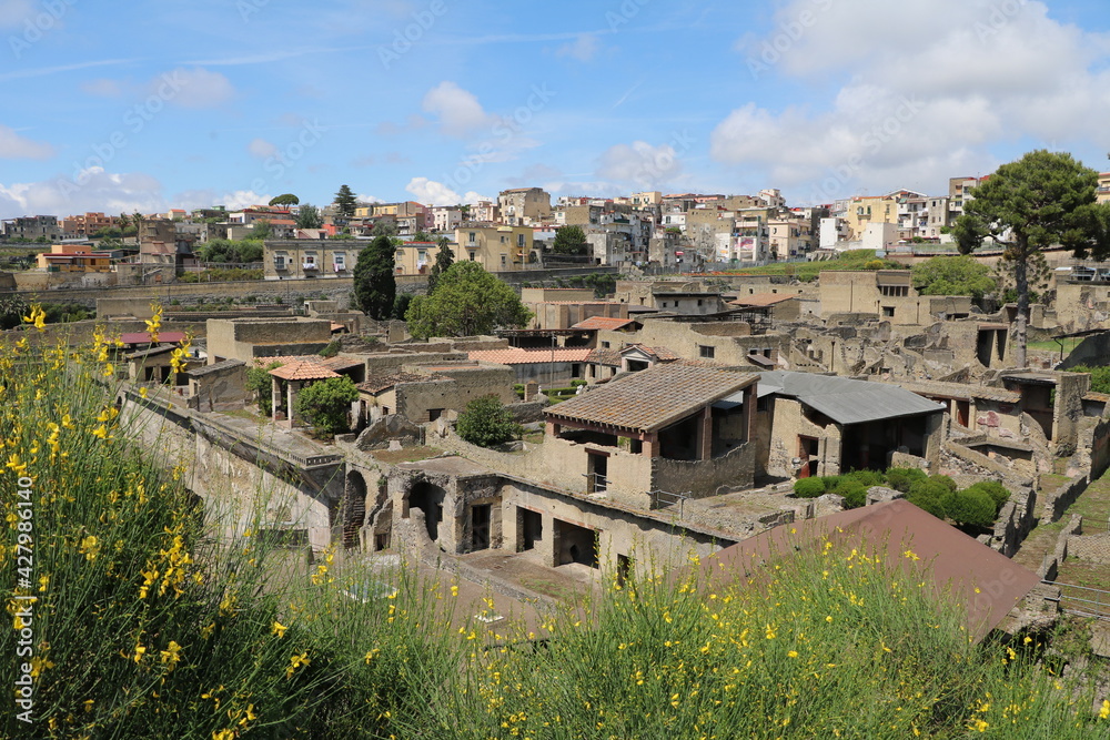 General view of the excavation of Herculaneum, Italy