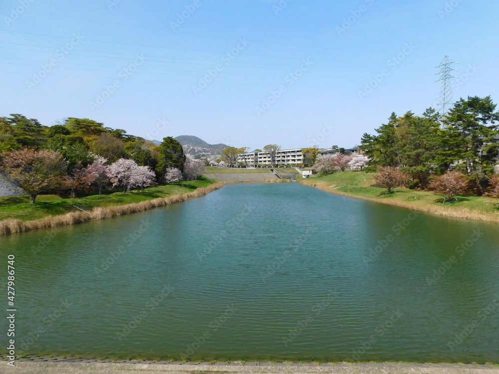 Fototapeta premium ニテコ池(兵庫県西宮市で2021年4月撮影)