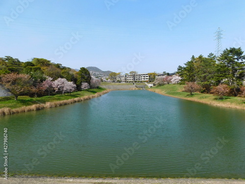 ニテコ池(兵庫県西宮市で2021年4月撮影)