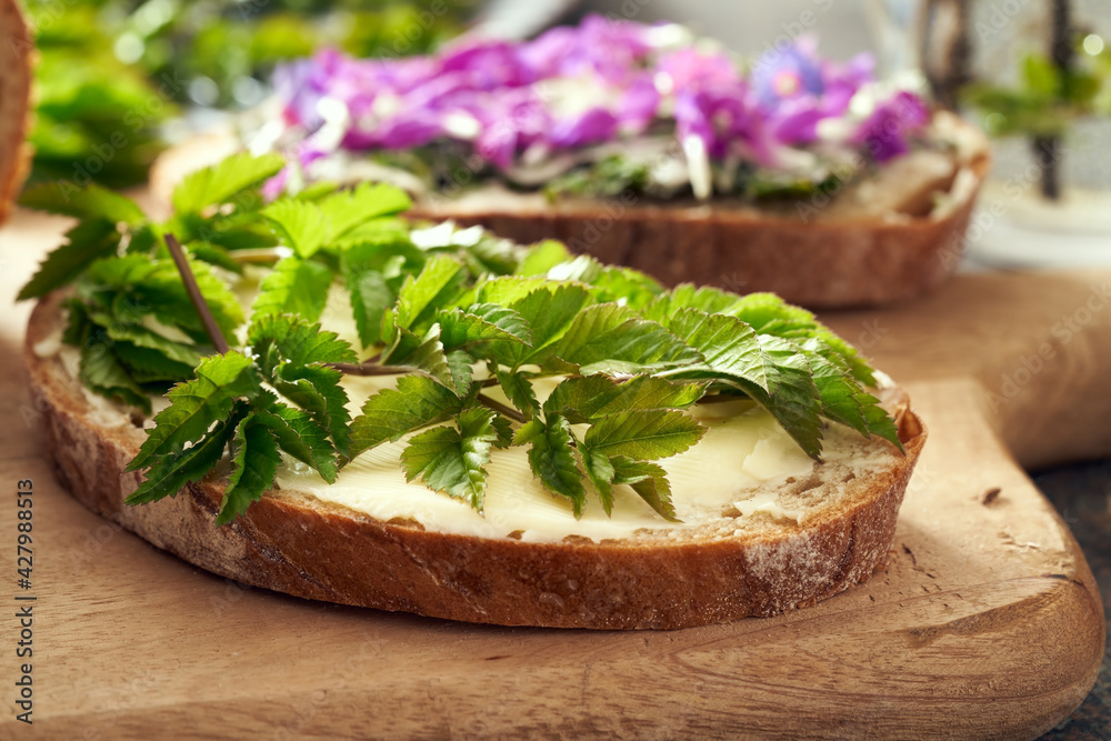 A slice of sourdough bread with butter and young leaves of ground elder or goutweed - a wild edible plant growing in spring A slice of sourdough bread with butter and young leaves of ground elder or goutweed - a wild edible plant growing in spring