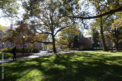 University of North Carolina's Quad in Chapel Hill, NC photo