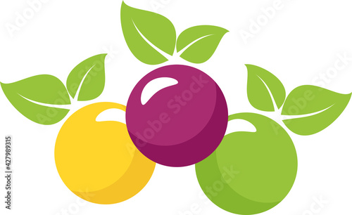Colourful icon of summer fruits