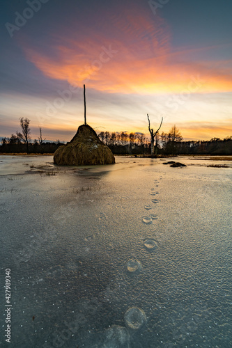 A mound of hay in a frozen meadow