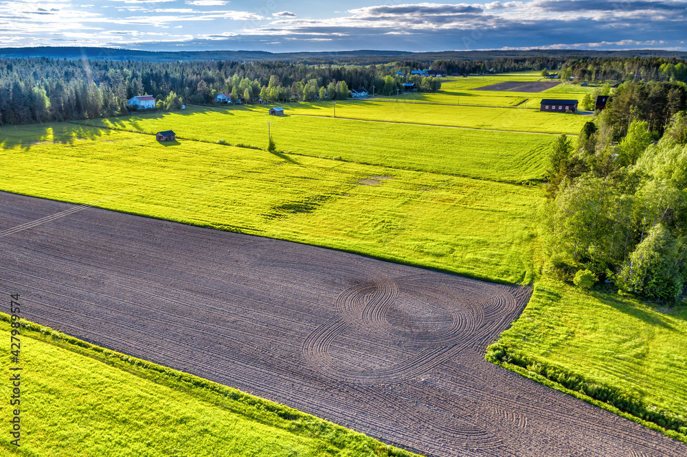 Aerial photo of fresh green spring and just plowed fields surrounded by forest, Scandianvian countryside, houses. All illuminated by sunset, blue skies with some clouds. Sweden, Umea. Side view