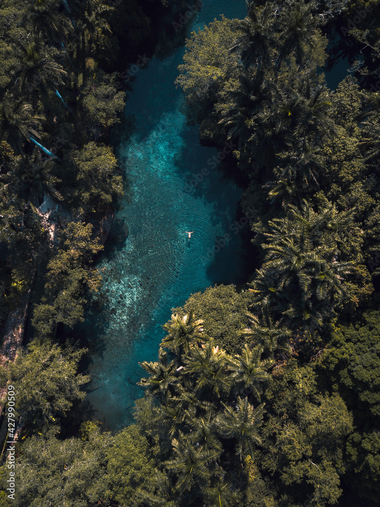 Vista aérea cenital de río con persona nadando