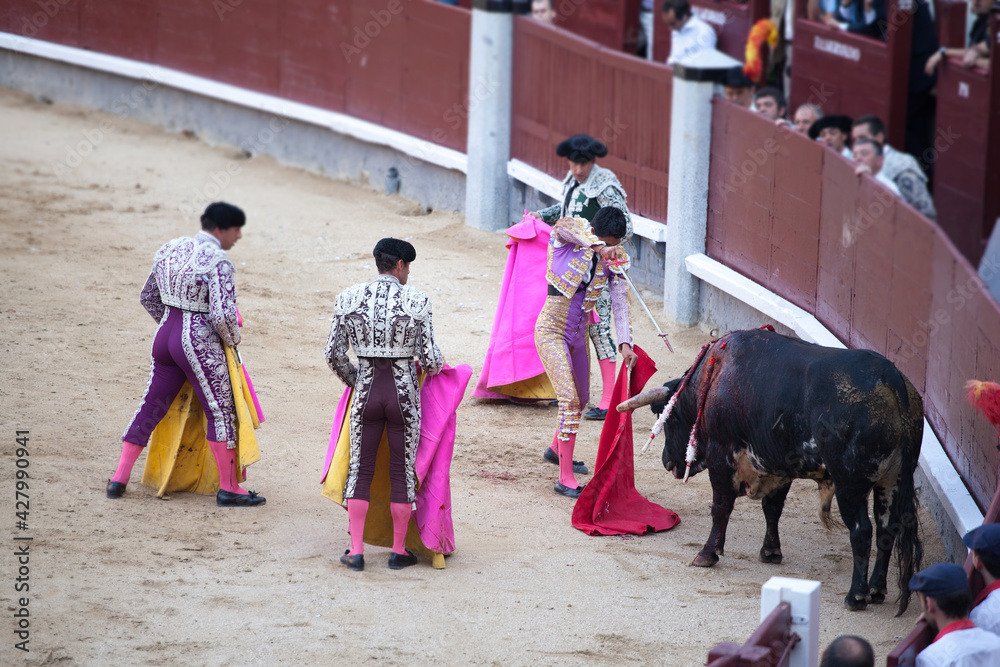 Descabello. Torero enfrontilado con estoque, preparado para realizar la suerte suprema al toro en plaza de toros en Madrid
