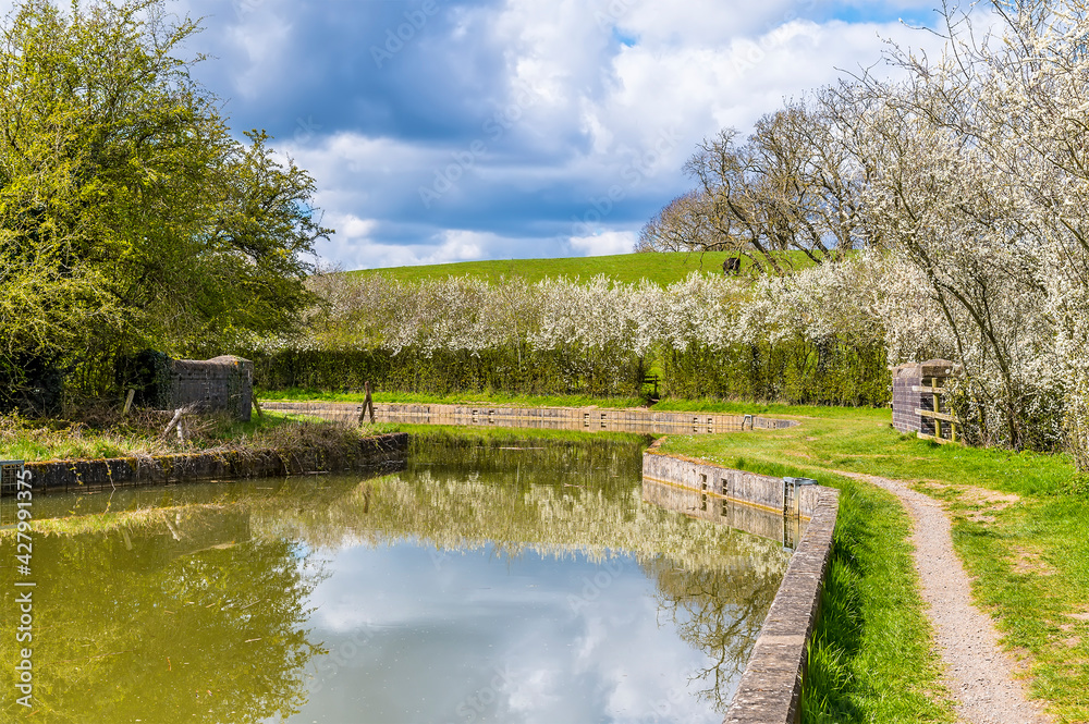 Blackthorn blossom lines the banks of  the Grand Union Canal near to Smeeton Westerby, UK on a Spring day