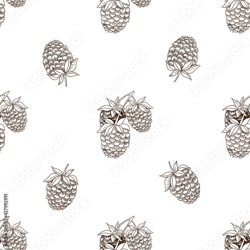 vector graphic seamless pattern with raspberry berry-02