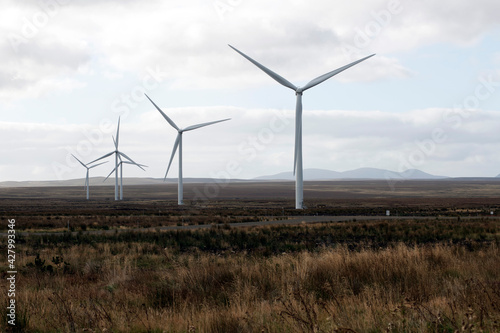 wind turbines in the field