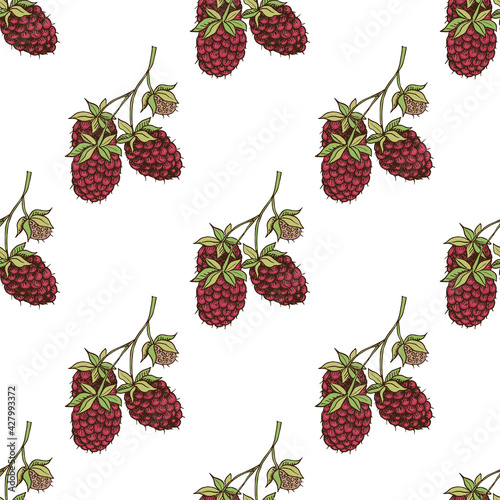 vector graphic seamless pattern with raspberry berry-03