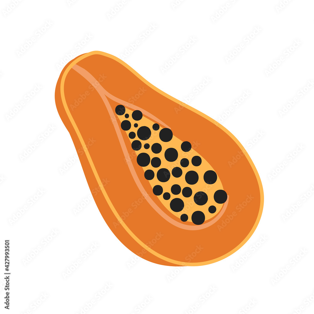 Hand drawn vector illustration of papaya slice on a white background Hand drawn vector illustration of papaya slice on a white background