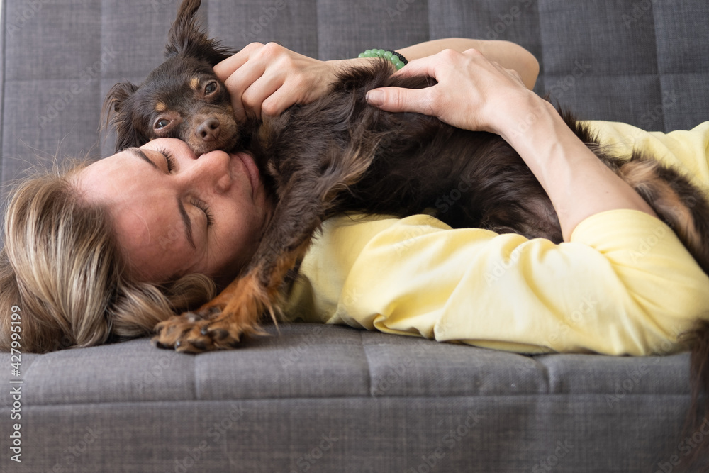 Happy blonde woman lying sleep funny brown russian toy terrier Happy blonde woman lying sleep funny brown russian toy terrier
