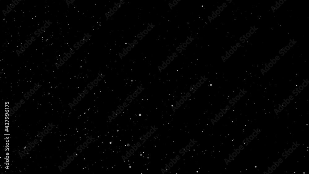 Natural Organic Dust Particles Floating On Black Background. Dynamic Dust Particles Randomly Float In Space. Shimmering Glittering Dust Particles With Bokeh. Slow motion on Black Background.