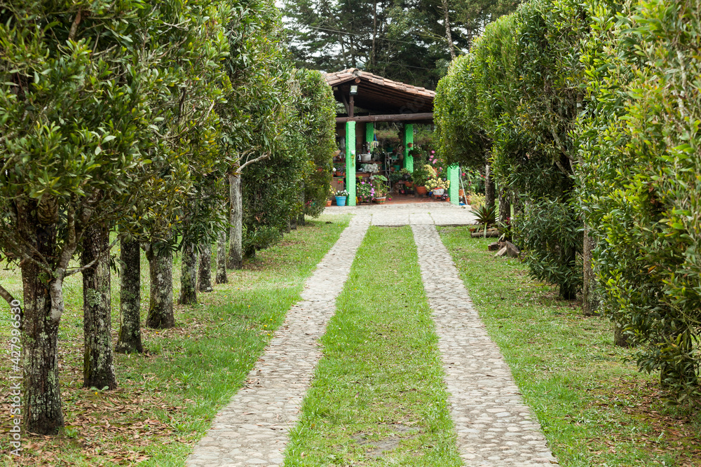 The path made with stones; a car track on the grass.