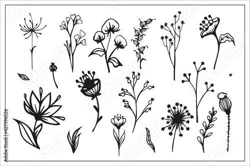 set of botanical elements, plants, flowers, branches, leaves, decorative, black and white, linear, vector graphics
