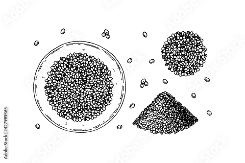 Set of hand drawn cereal design elements isolated on white background. Vector illustration in sketch style