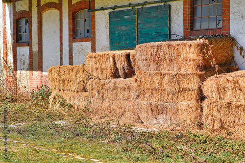 Rectangular hay bales in front of old abandoned farm building