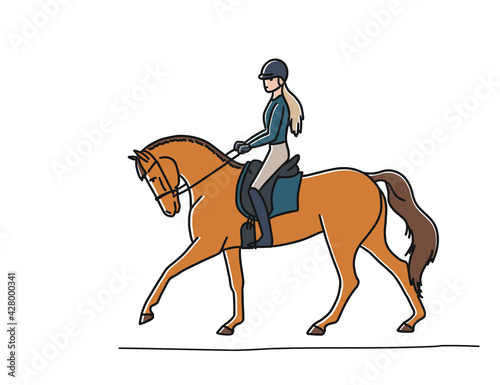 Young elegant rider woman and chestnut horse