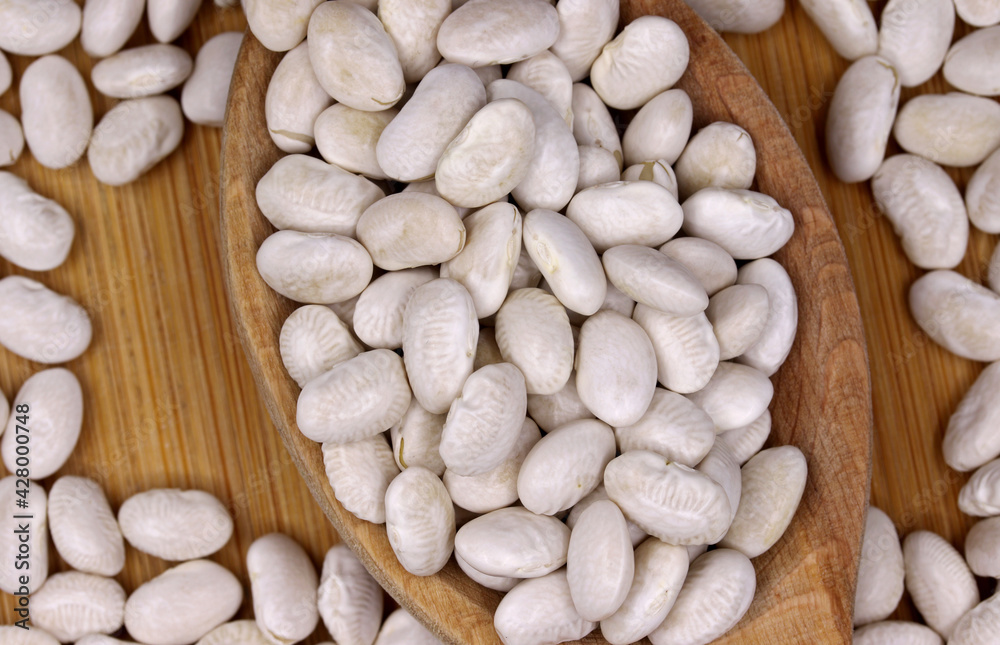 organic dried white beans in wooden spoon