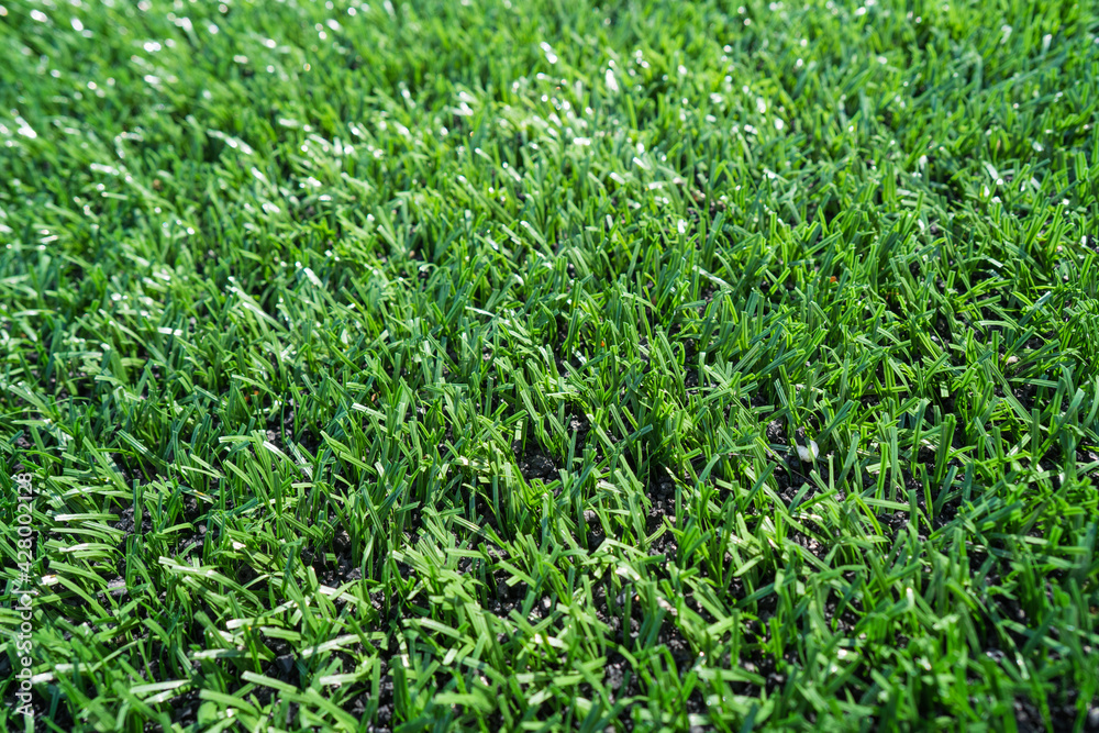 Artificial green grass for the football field Artificial green grass for the football field