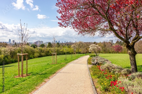 Frankfurt seen from a park outside of the skyline