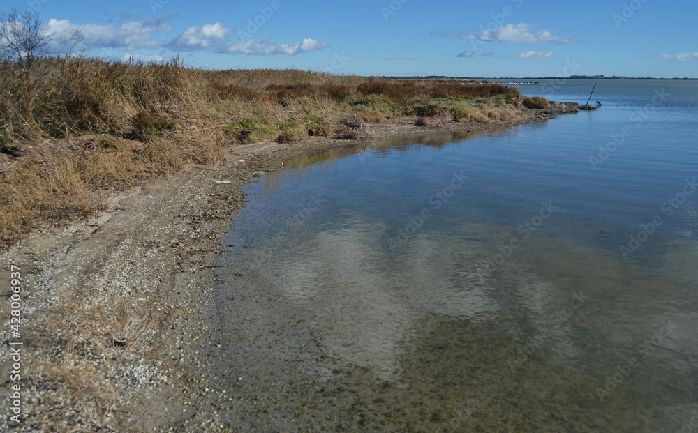 sand dunes on the shore