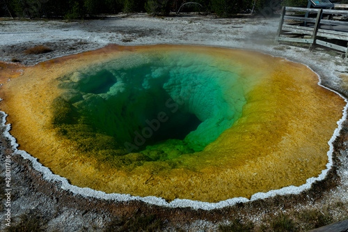 Morning Glory Pool, hot springs Yellowstone national park