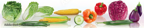 Horisontal collage of colorfull vegetables